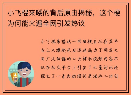 小飞棍来喽的背后原由揭秘，这个梗为何能火遍全网引发热议
